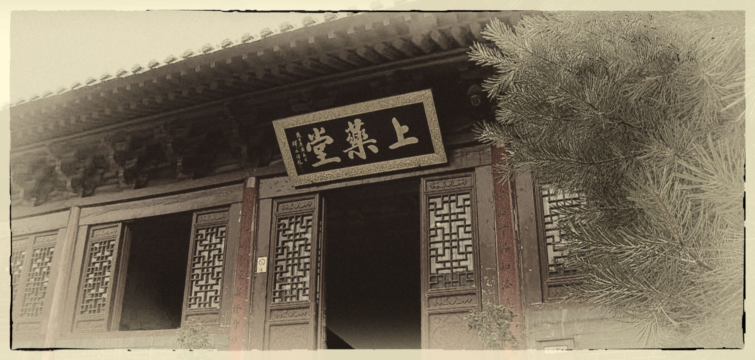 Shaolin Temple Pharmacy